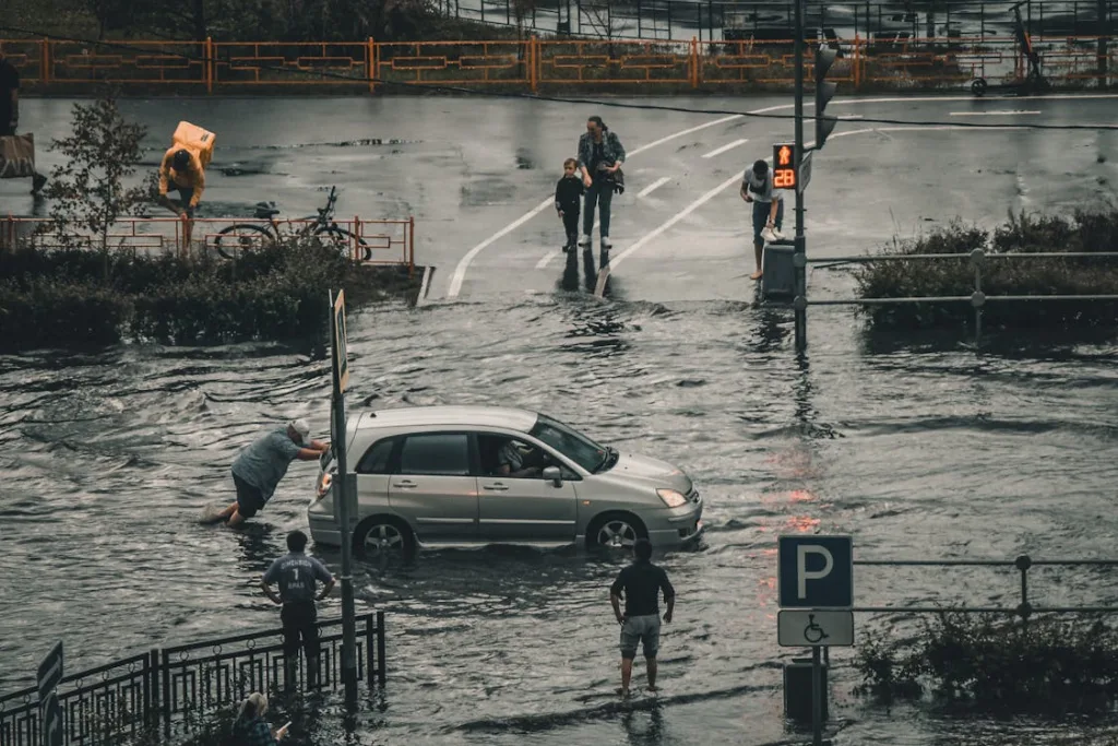 The Ministry of Environment explains where the Ukrainian snow has gone